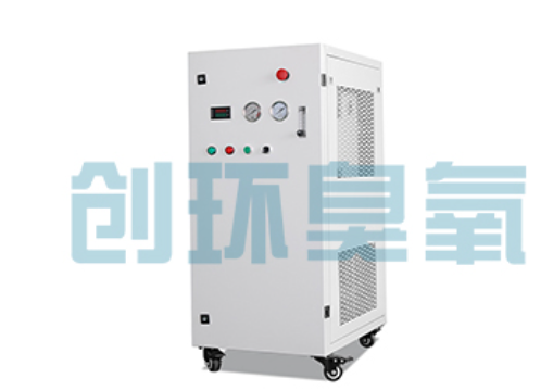 达州石斑鱼养殖水质调控完整指南：臭氧发生器配置与操作步骤