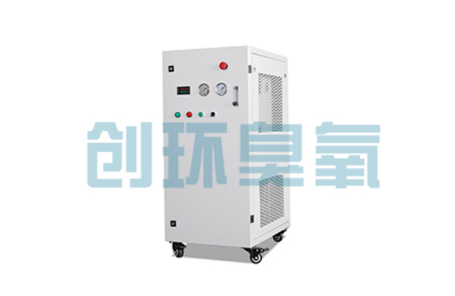 达州比传统换水更高效？臭氧发生器在石斑鱼养殖中的水质净化原理解析